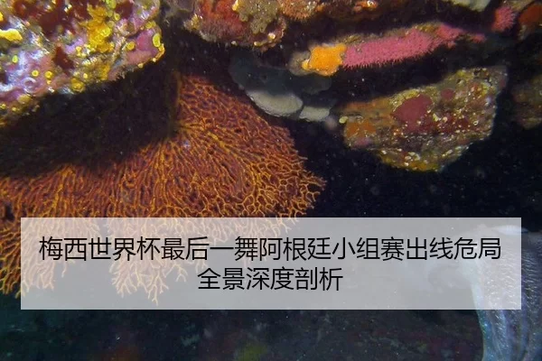 梅西世界杯最后一舞阿根廷小组赛出线危局全景深度剖析